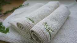 有機棉毛巾 (3)